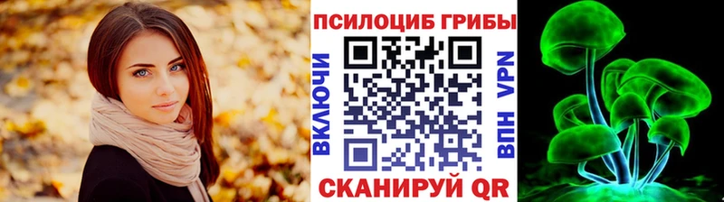 где купить наркотик  Пересвет  Псилоцибиновые грибы Psilocybe 