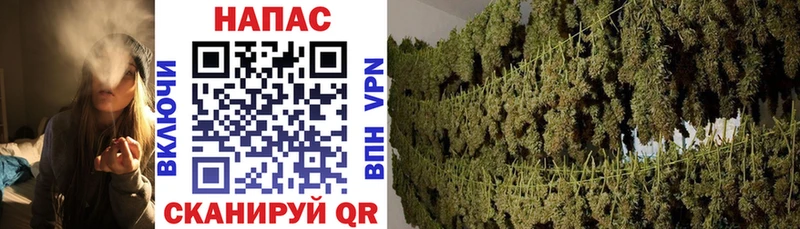 Конопля тримм  продажа наркотиков  Пересвет 
